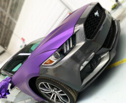 Easipetcare - Hardy Signs - Purple Car Wrap