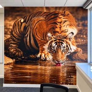 Large wall mural of a Bengal tiger drinking from water in a rocky habitat inside a modern office room.