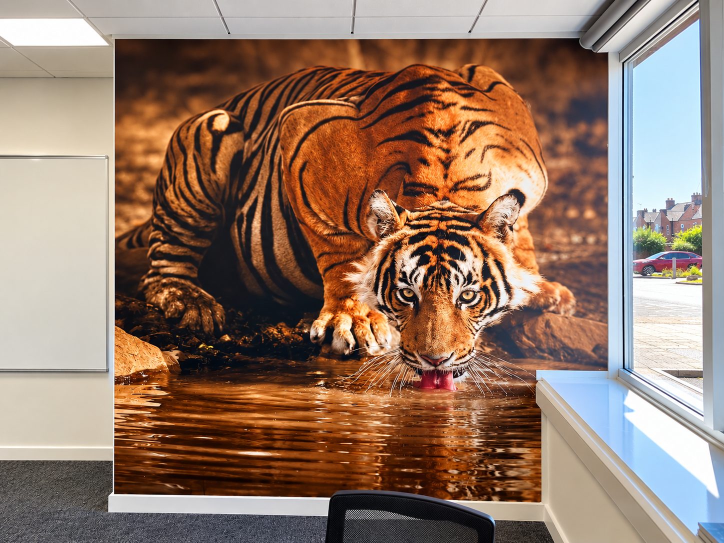 Large wall mural of a Bengal tiger drinking from water in a rocky habitat inside a modern office room.
