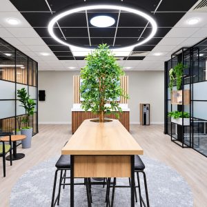 Modern office showroom with a central wooden table, a tall potted tree, and a circular ceiling light ring surrounded by glass partitions labeled Hoya and Seiko.