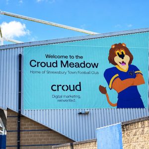Large turquoise stadium banner reading 'Welcome to the Croud Meadow' with a cartoon lion mascot in blue and yellow armor.